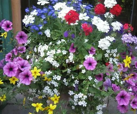 Ristorante Guidi * Pistoia