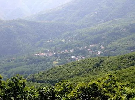 Ristorante Guidi * Pistoia