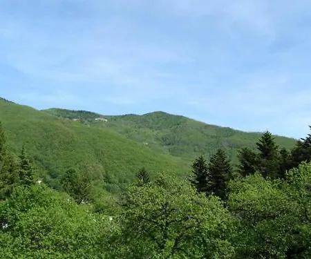 Ristorante Guidi Hotel