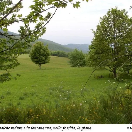 Ristorante Guidi * Pistoia